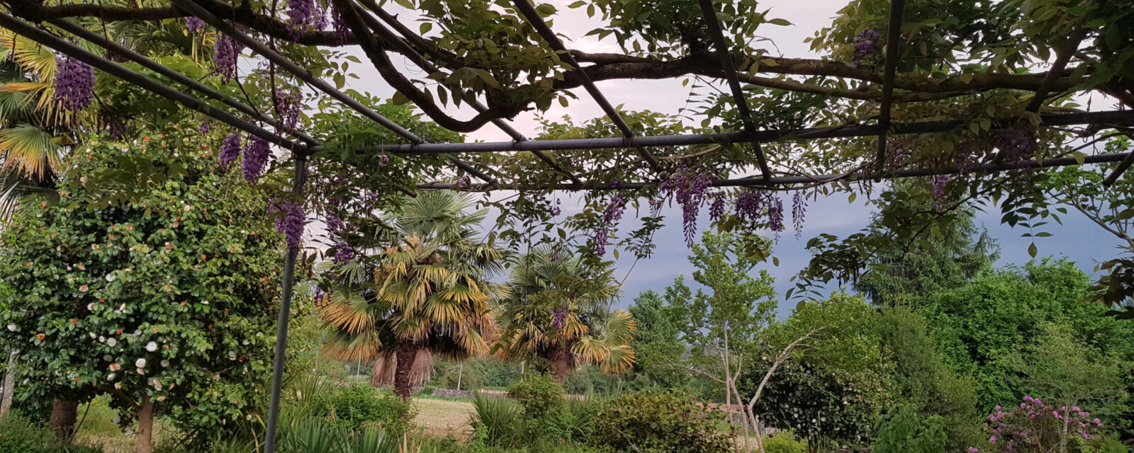 jardin de la finca